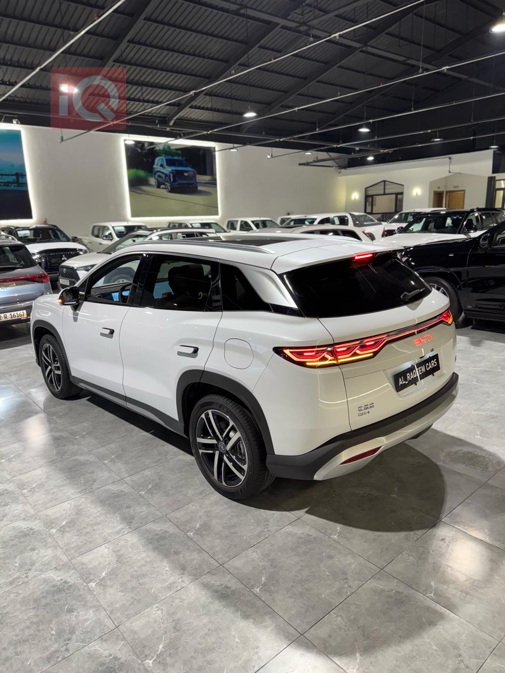 بي واي دي سونغ L DM-i